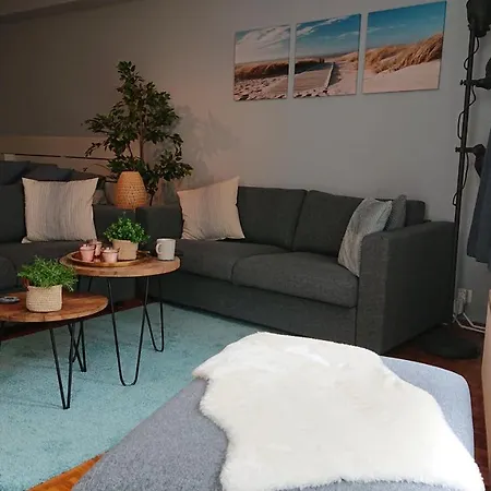 Studio Direct Aan Het Hoofdstrand Van - Naast Casino * אוסטנדה